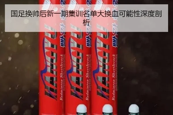 国足换帅后新一期集训名单大换血可能性深度剖析